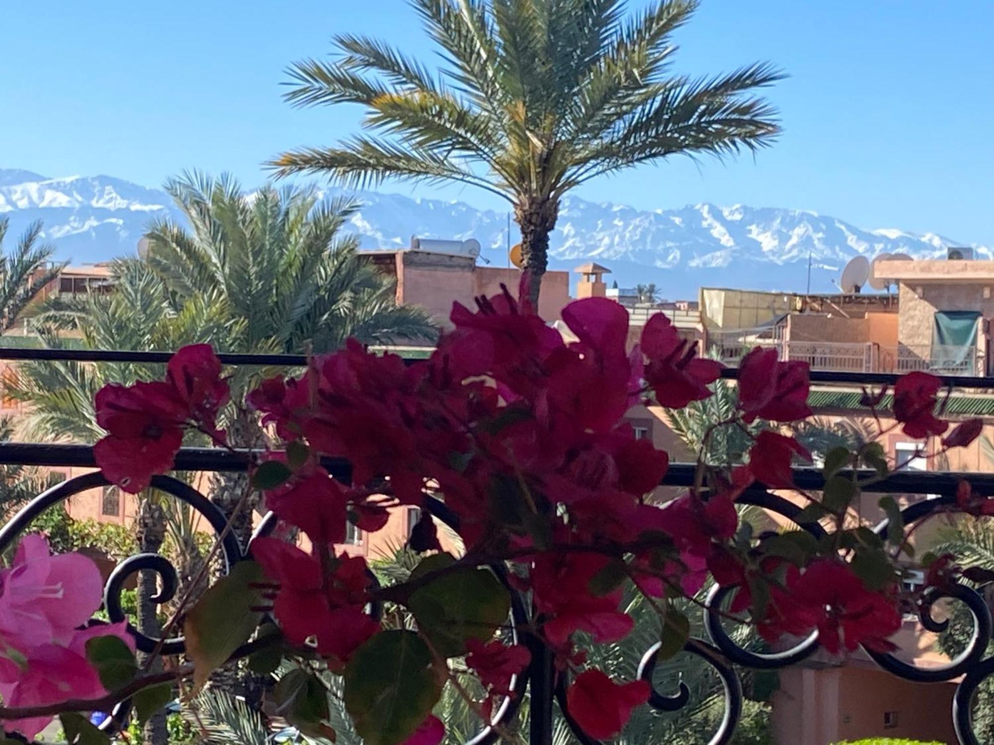 Riad Palmier Fleuri Marrakesh Luaran gambar