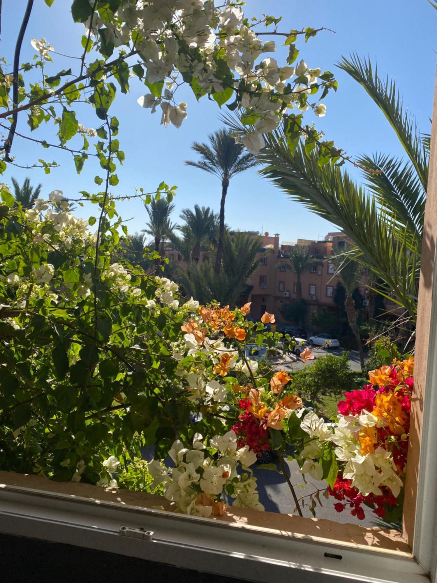 Riad Palmier Fleuri Marrakesh Luaran gambar