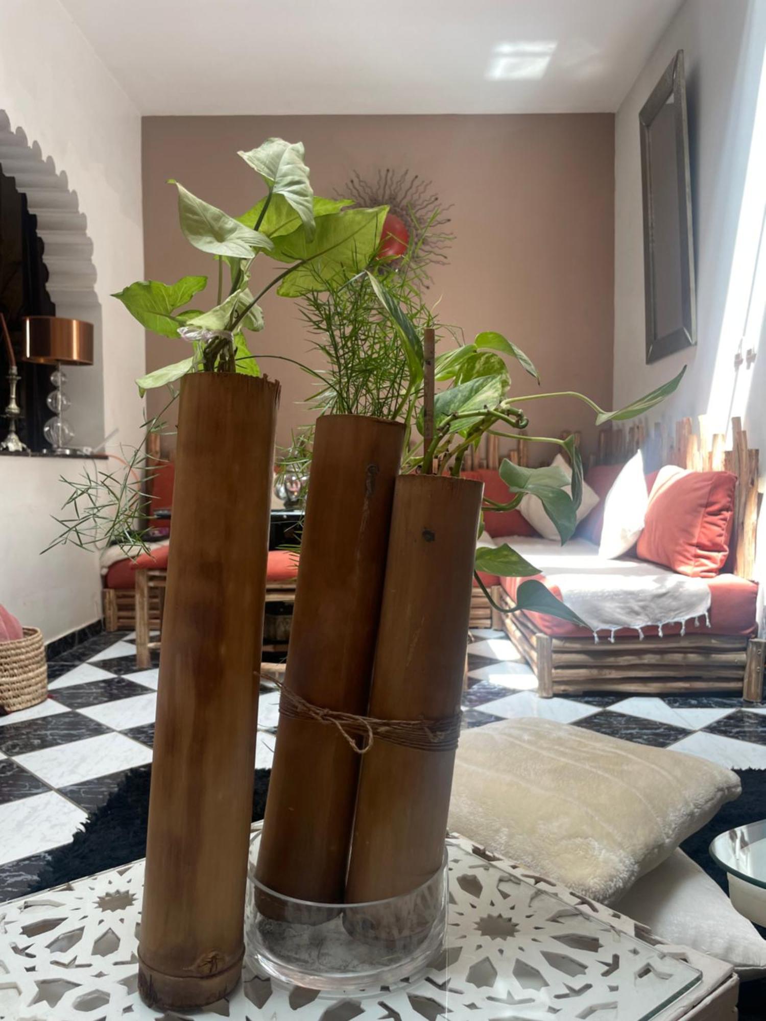 Riad Palmier Fleuri Marrakesh Luaran gambar